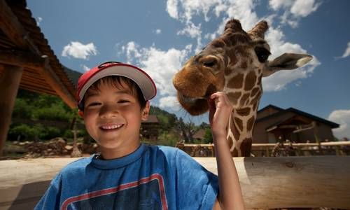 Get Shout-Outs Recorded From The Zoo Animals