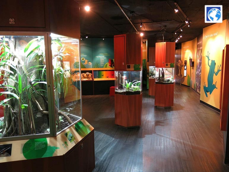 Delve Into The Biodiversity Of Punta Culebra Nature Center