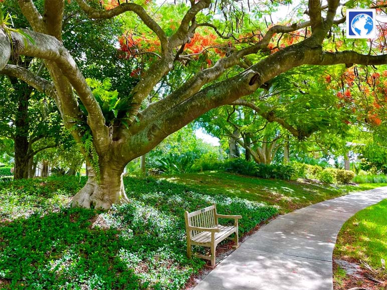 Mounts Botanical Garden, A Lush Retreat