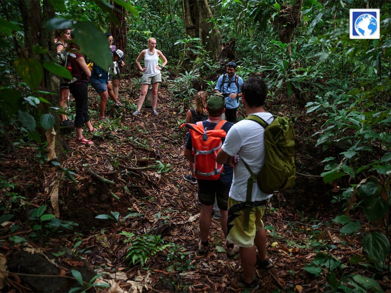 Immerse Yourself In The Natural Splendor Of Parque Natural Metropolitano