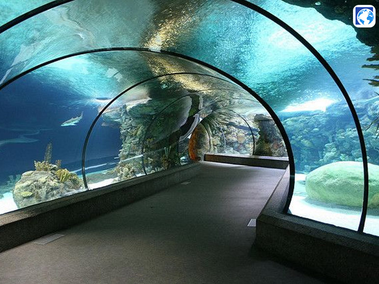 Discover The Henry Doorly Zoo And Aquarium