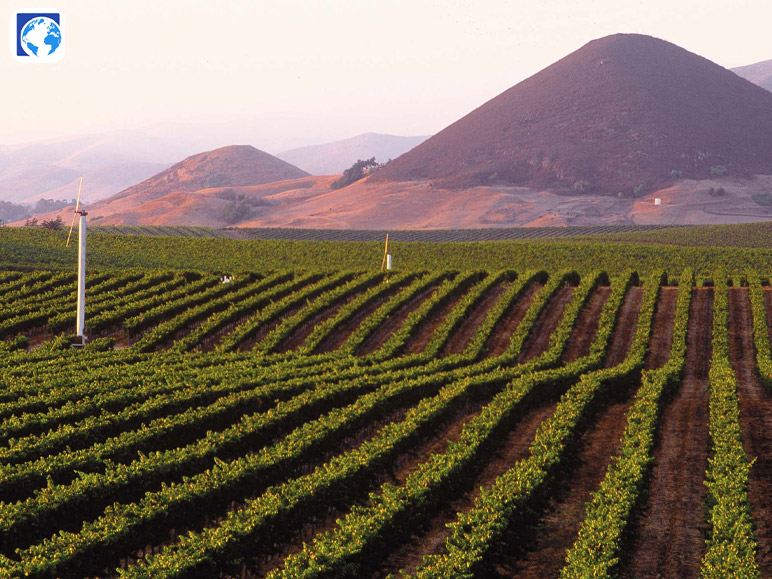 Edna Valley and Arroyo Grande