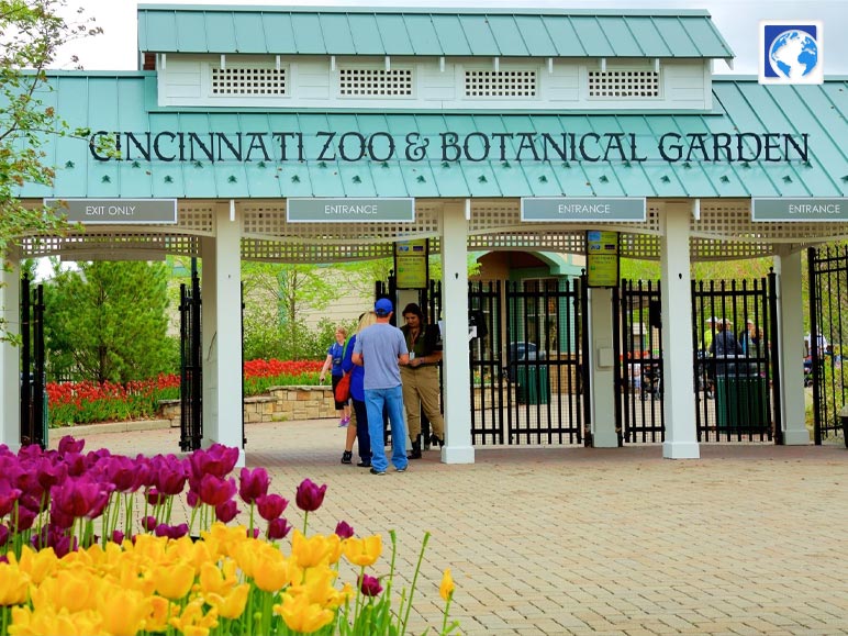 Go to the Cincinnati Zoo and Botanical Garden