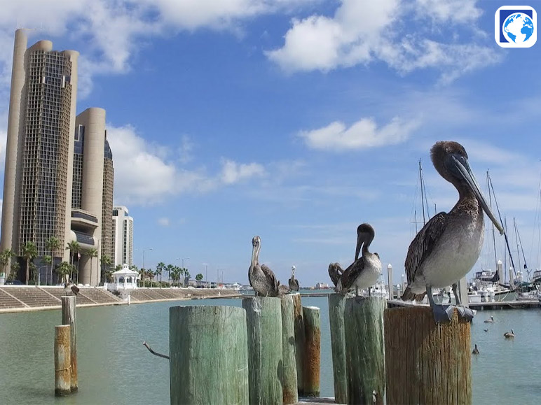 Stroll Along The Bay Trail of Corpus Christi