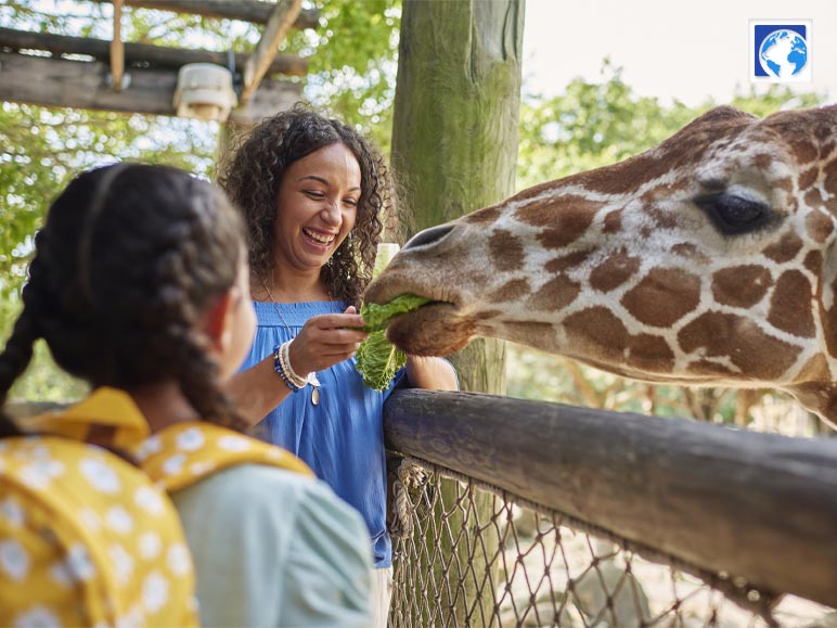 Brevard Zoo