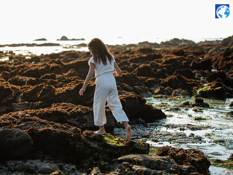 Exploration of the Tide Pool